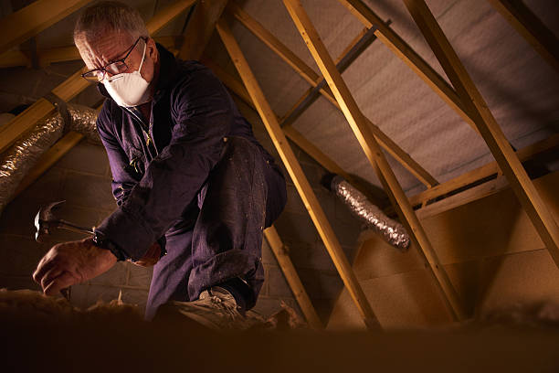 Best Insulation Installation Services in Dyersburg, TN